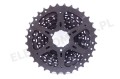 Kaseta 8 rzędowa Shimano HG31 11-32T